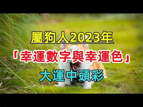 2023屬狗幸運物